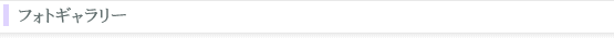 ギャラリー